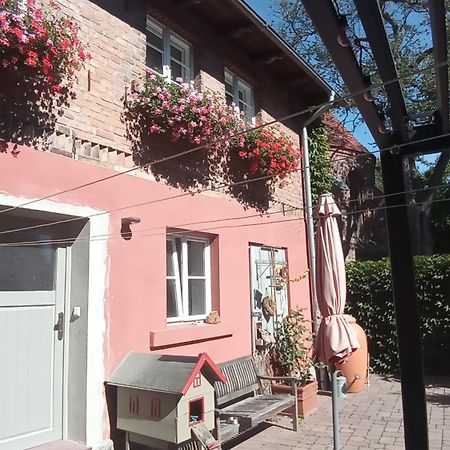 Ferienhaus In Der Historischen Altstadt Von Angermuende Angermunde Kültér fotó