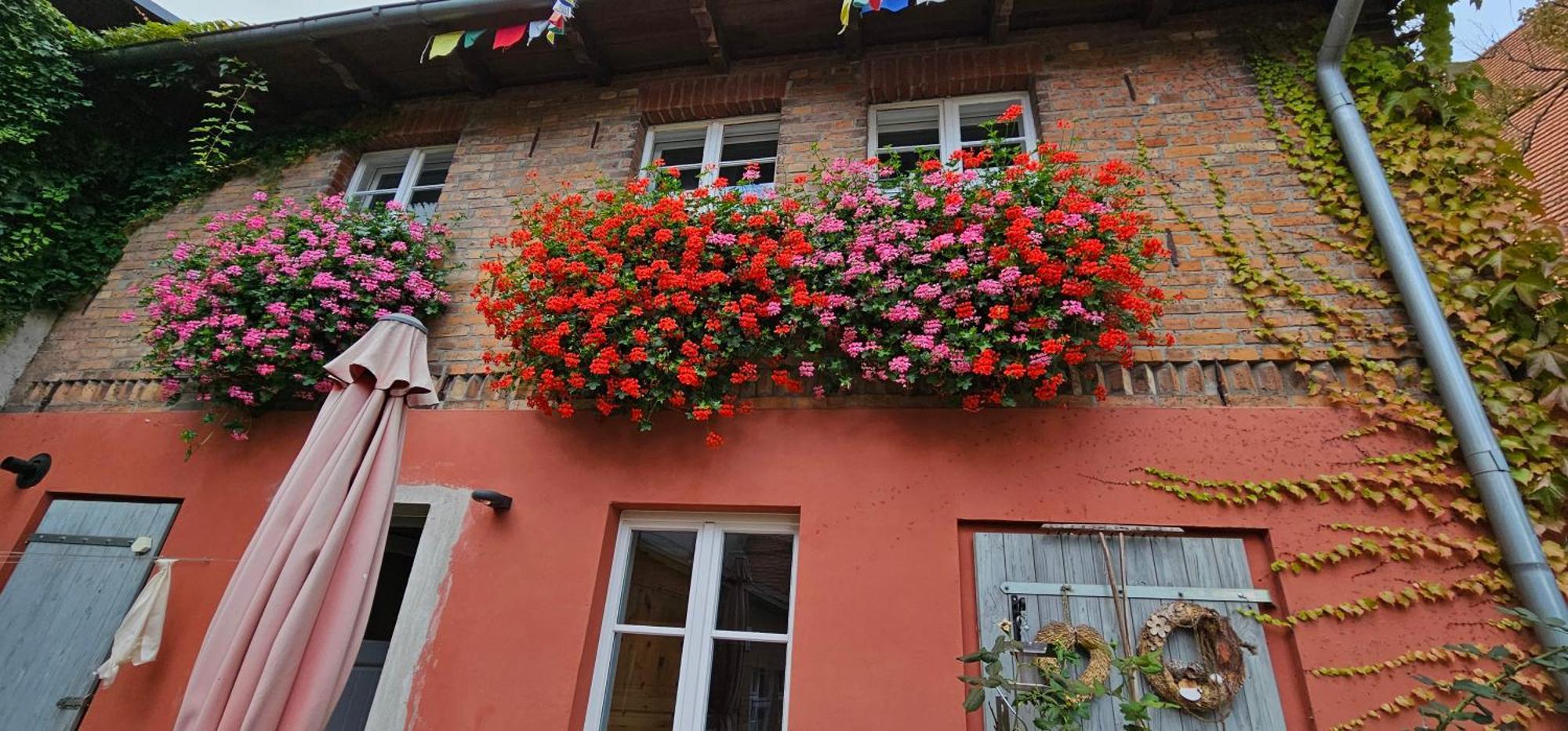 Ferienhaus In Der Historischen Altstadt Von Angermuende Angermunde Kültér fotó